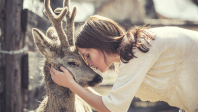 6 Amazing Stories Of Wild Animals Saving Human Lives - Be Inspired