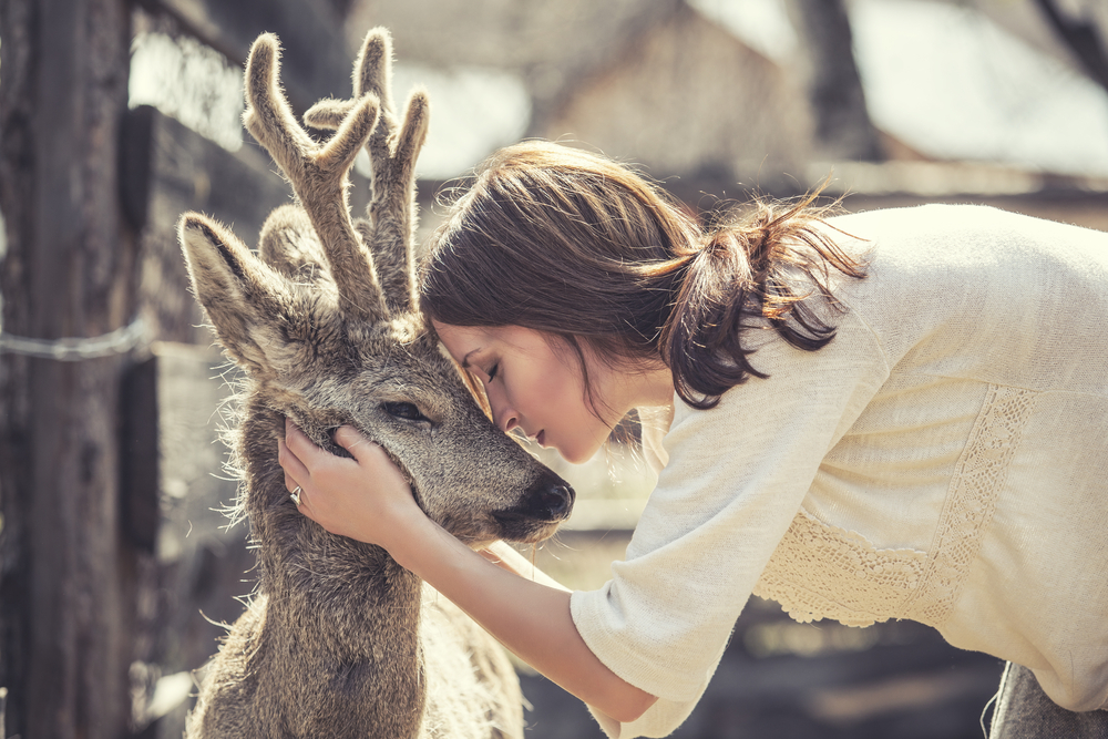 6 Amazing Stories Of Wild Animals Saving Human Lives - Be Inspired