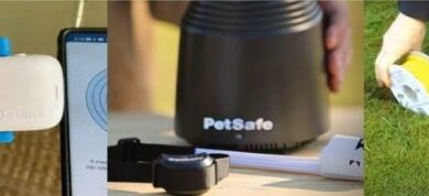 5 Best Invisible Fences for Cats [2026 Updated Reviews]
