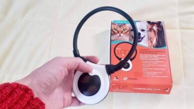Assisi tPEMF LOOP Review - Cats.com
