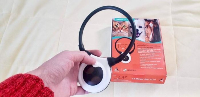 Assisi tPEMF LOOP Review - Cats.com